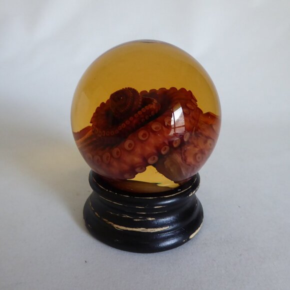 RED TIGER OCTOPUS TENTACLE GLASS GLOBE WET SPECIMEN PROFESSIONAL TAXIDERMY - Picture 5 of 11